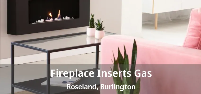 Fireplace Inserts Gas Roseland, Burlington - ON Fireplace Inserts Gas Roseland, Burlington - ON