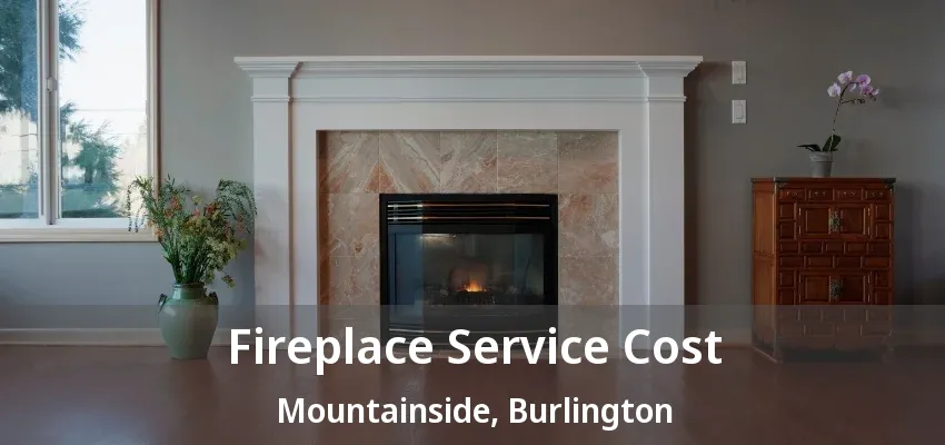 Fireplace Service Cost Mountainside, Burlington - ON