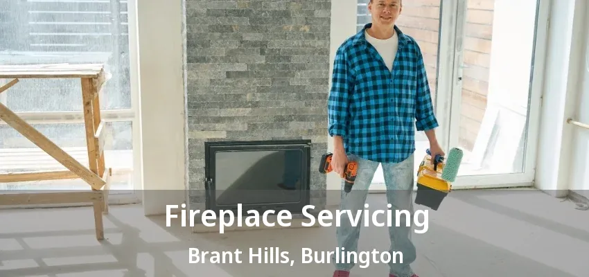 Fireplace Servicing Brant Hills, Burlington - ON