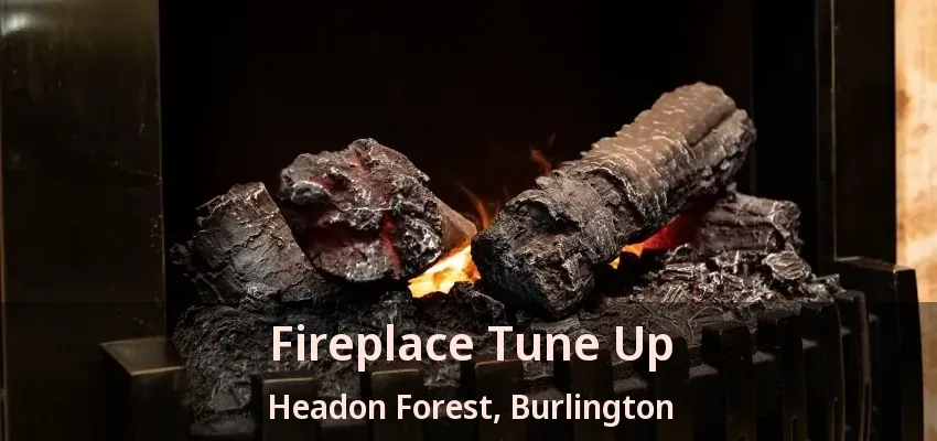 Fireplace Tune Up Headon Forest, Burlington - ON Fireplace Tune Up Headon Forest, Burlington - ON