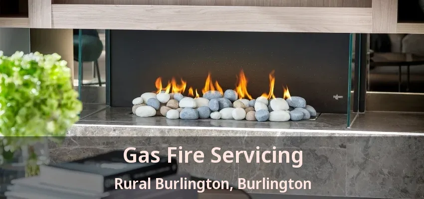 Gas Fire Servicing Rural Burlington, Burlington - ON Gas Fire Servicing Rural Burlington, Burlington - ON