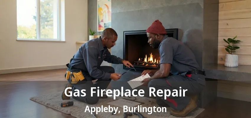 Gas Fireplace Repair Appleby, Burlington - ON