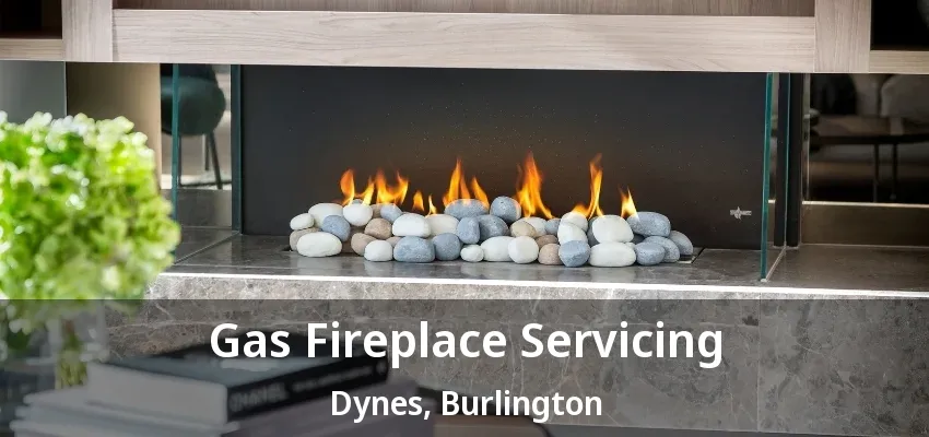 Gas Fireplace Servicing Dynes, Burlington - ON