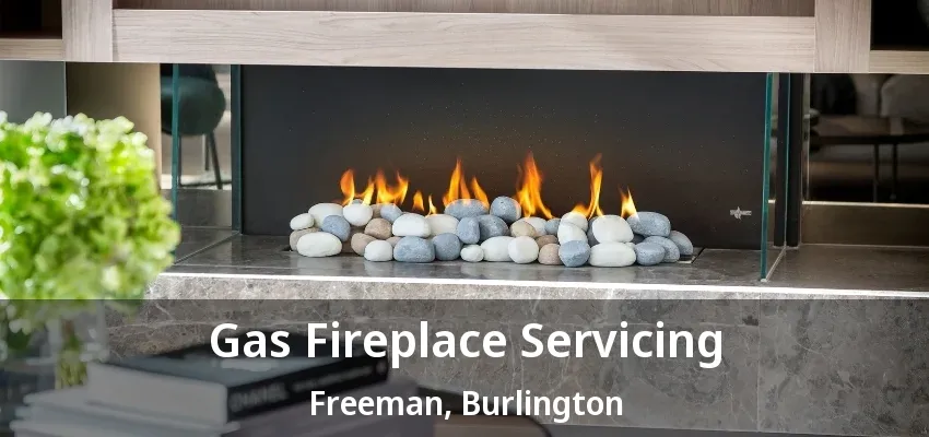 Gas Fireplace Servicing Freeman, Burlington - ON