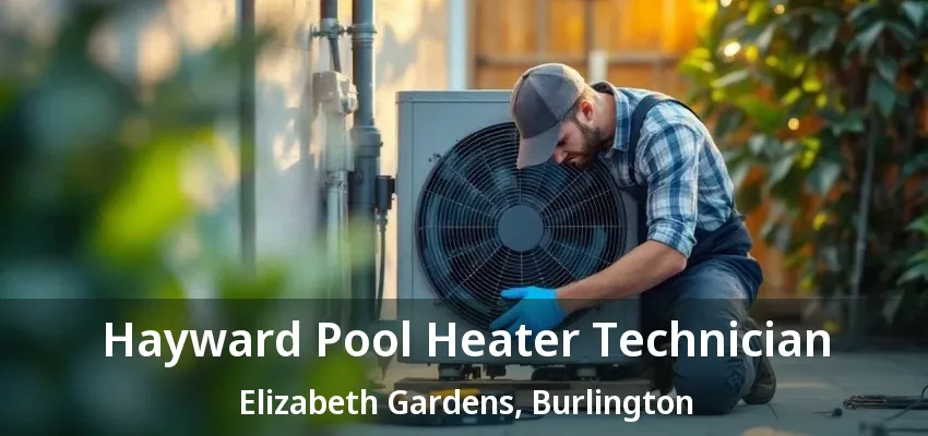 Hayward Pool Heater Technician Elizabeth Gardens, Burlington - ON