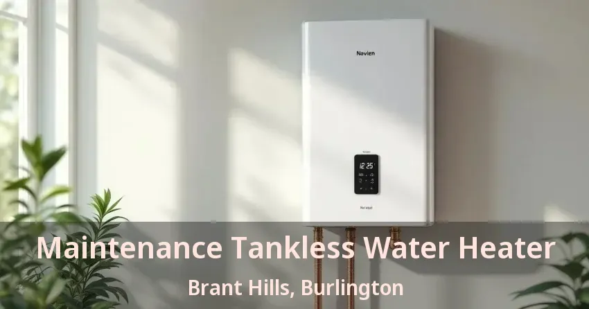 Maintenance Tankless Water Heater Brant Hills, Burlington - ON Maintenance Tankless Water Heater Brant Hills, Burlington - ON
