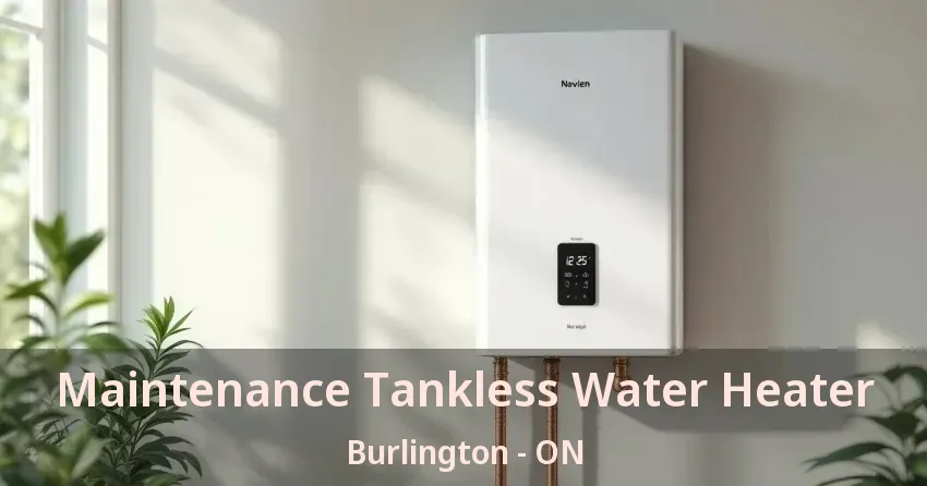Maintenance Tankless Water Heater Burlington - ON Maintenance Tankless Water Heater Burlington - ON