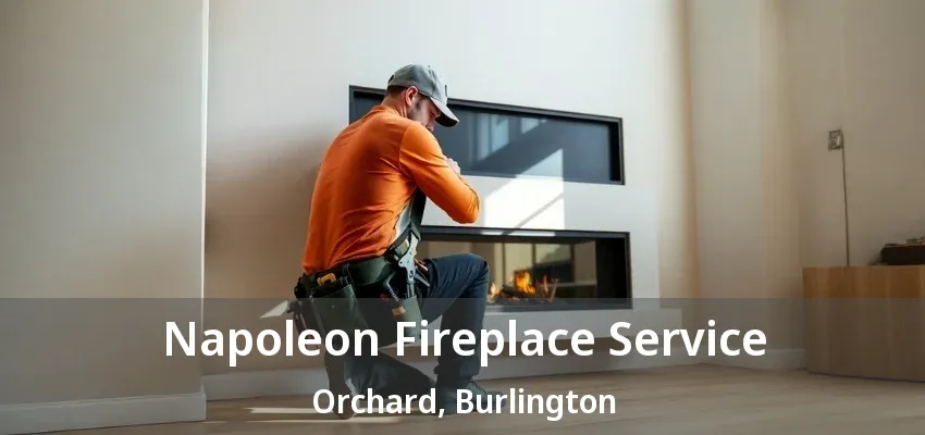 Napoleon Fireplace Service Orchard, Burlington - ON