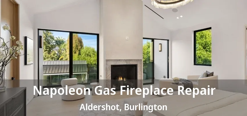 Napoleon Gas Fireplace Repair Aldershot, Burlington - ON