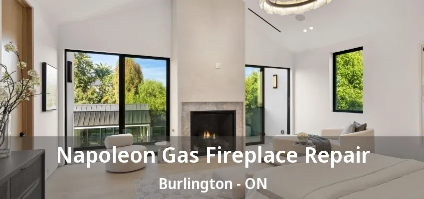 Napoleon Gas Fireplace Repair Burlington - ON