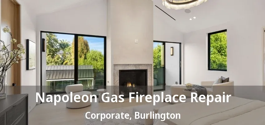 Napoleon Gas Fireplace Repair Corporate, Burlington - ON Napoleon Gas Fireplace Repair Corporate, Burlington - ON