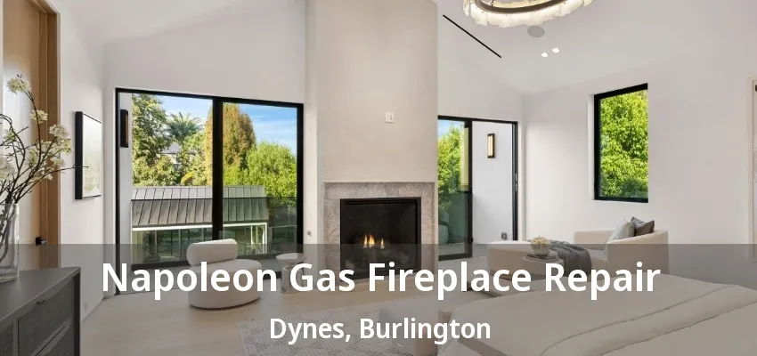 Napoleon Gas Fireplace Repair Dynes, Burlington - ON