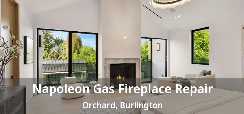 Napoleon Gas Fireplace Repair Orchard, Burlington - ON