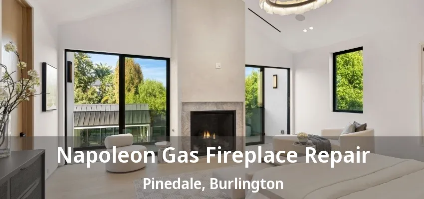 Napoleon Gas Fireplace Repair Pinedale, Burlington - ON
