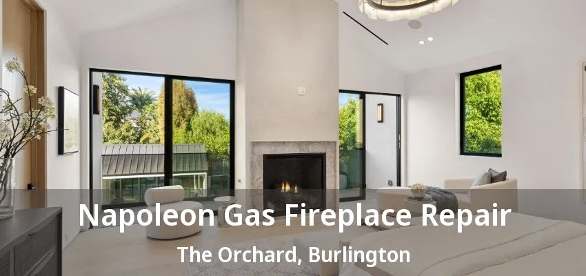 Napoleon Gas Fireplace Repair The Orchard, Burlington - ON
