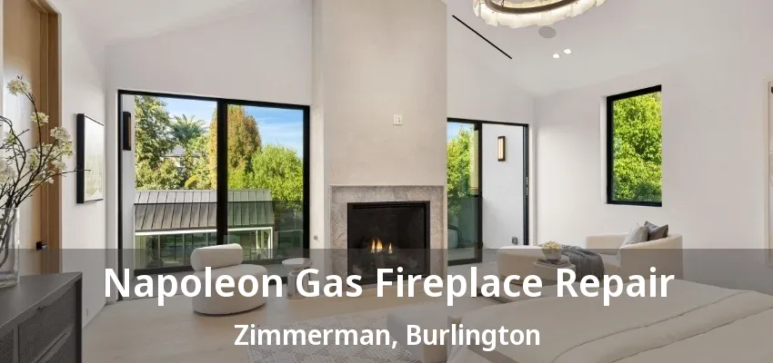 Napoleon Gas Fireplace Repair Zimmerman, Burlington - ON