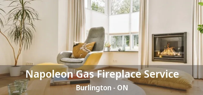 Napoleon Gas Fireplace Service Burlington - ON