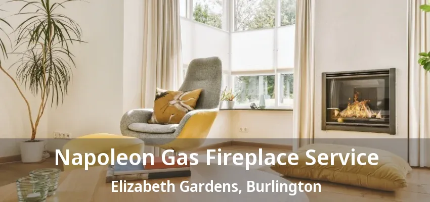 Napoleon Gas Fireplace Service Elizabeth Gardens, Burlington - ON