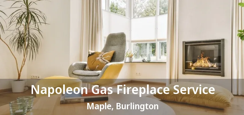 Napoleon Gas Fireplace Service Maple, Burlington - ON