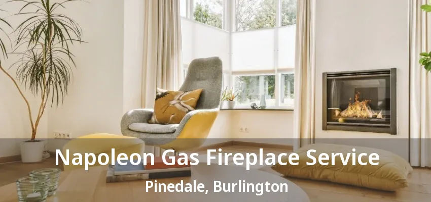 Napoleon Gas Fireplace Service Pinedale, Burlington - ON