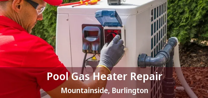 Pool Gas Heater Repair Mountainside, Burlington - ON