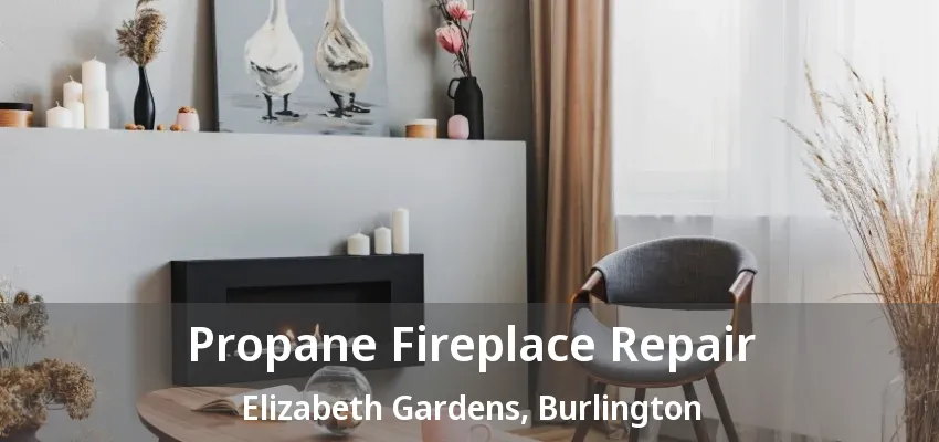 Propane Fireplace Repair Elizabeth Gardens, Burlington - ON