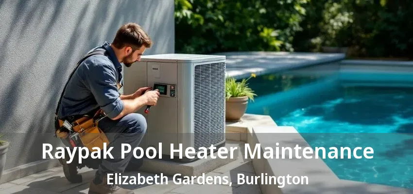 Raypak Pool Heater Maintenance Elizabeth Gardens, Burlington - ON