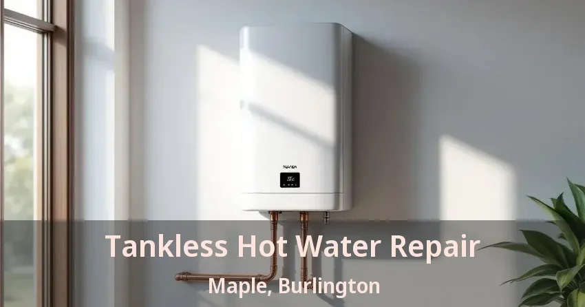 Tankless Hot Water Repair Maple, Burlington - ON Tankless Hot Water Repair Maple, Burlington - ON