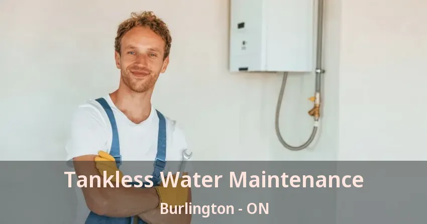 Tankless Water Maintenance Burlington - ON Tankless Water Maintenance Burlington - ON