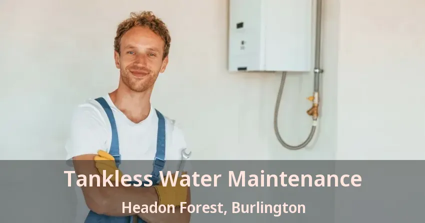Tankless Water Maintenance Headon Forest, Burlington - ON Tankless Water Maintenance Headon Forest, Burlington - ON