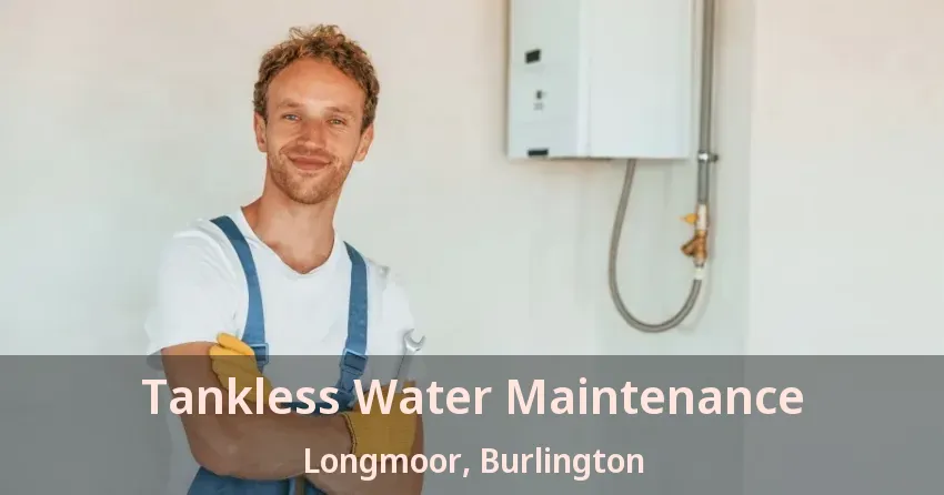 Tankless Water Maintenance Longmoor, Burlington - ON Tankless Water Maintenance Longmoor, Burlington - ON