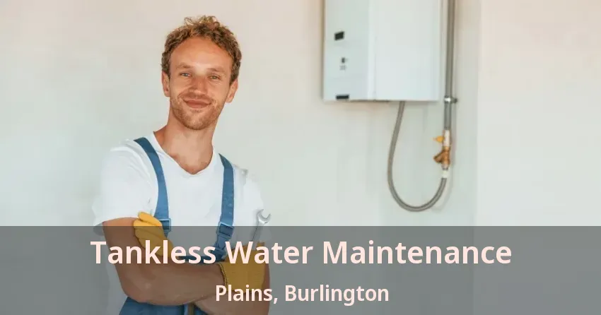 Tankless Water Maintenance Plains, Burlington - ON Tankless Water Maintenance Plains, Burlington - ON