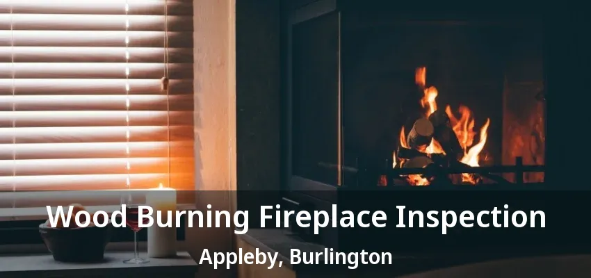 Wood Burning Fireplace Inspection Appleby, Burlington - ON